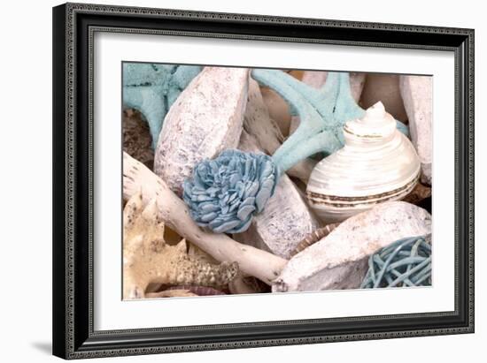 Bundle of Shells II-Susan Bryant-Framed Photographic Print