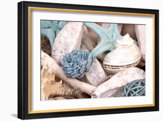 Bundle of Shells II-Susan Bryant-Framed Photographic Print