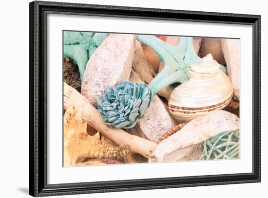 Bundle of Shells II-Susan Bryant-Framed Photo