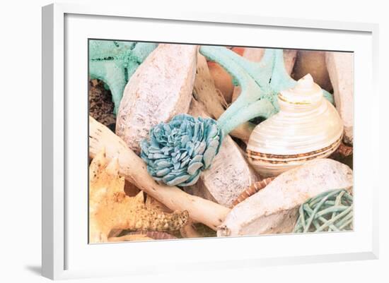 Bundle of Shells II-Susan Bryant-Framed Photo