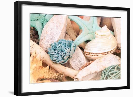 Bundle of Shells II-Susan Bryant-Framed Photo