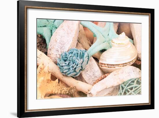 Bundle of Shells II-Susan Bryant-Framed Photo