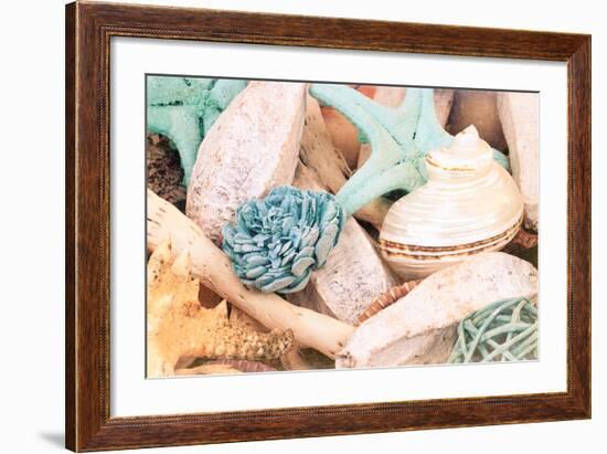 Bundle of Shells II-Susan Bryant-Framed Photo