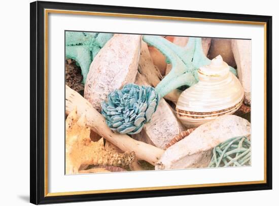 Bundle of Shells II-Susan Bryant-Framed Photo