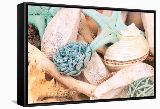 Bundle of Shells II-Susan Bryant-Framed Stretched Canvas