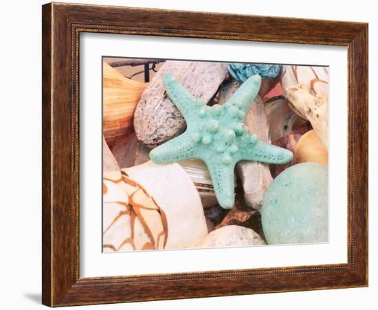 Bundle of Shells V-Susan Bryant-Framed Art Print