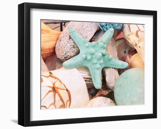 Bundle of Shells V-Susan Bryant-Framed Art Print