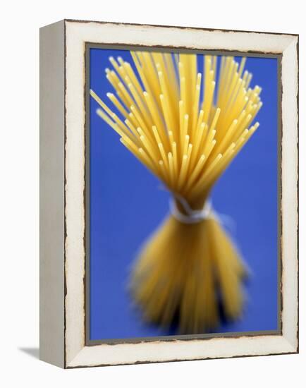 Bundle of Spaghetti-Marc O^ Finley-Framed Premier Image Canvas