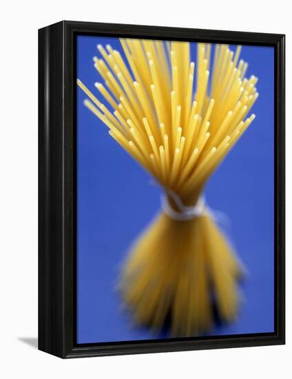 Bundle of Spaghetti-Marc O^ Finley-Framed Premier Image Canvas