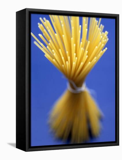 Bundle of Spaghetti-Marc O^ Finley-Framed Premier Image Canvas