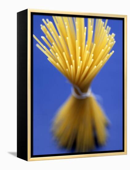 Bundle of Spaghetti-Marc O^ Finley-Framed Premier Image Canvas