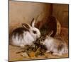 Bunnies' Meal II-Alfred Barber-Mounted Art Print