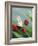 Bunnies & Tulips-sylvia pimental-Framed Art Print