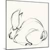 Bunny 3-Katie Todaro-Mounted Giclee Print