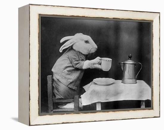 Bunny Coffee Break-null-Framed Premier Image Canvas
