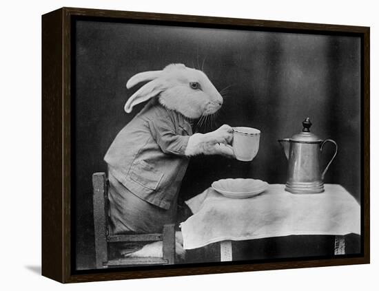 Bunny Coffee Break-null-Framed Premier Image Canvas