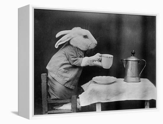 Bunny Coffee Break-null-Framed Premier Image Canvas