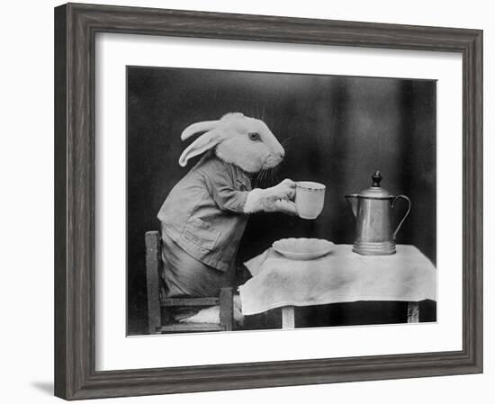 Bunny Coffee Break-null-Framed Photographic Print