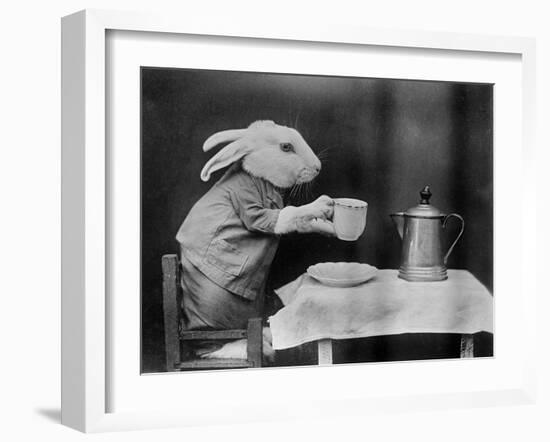 Bunny Coffee Break-null-Framed Photographic Print