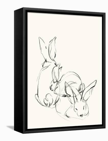 Bunny Group 2-Katie Todaro-Framed Premier Image Canvas