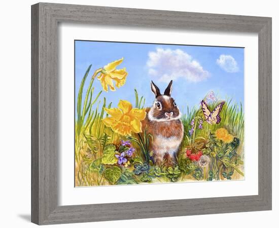 Bunny in Meadow-Judy Mastrangelo-Framed Giclee Print