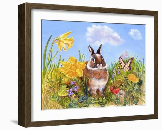 Bunny in Meadow-Judy Mastrangelo-Framed Giclee Print