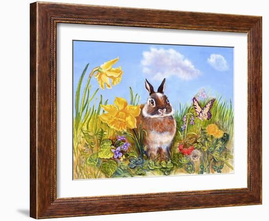 Bunny in Meadow-Judy Mastrangelo-Framed Giclee Print