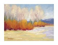 Bright Winter Day-Bunny Oliver-Stretched Canvas