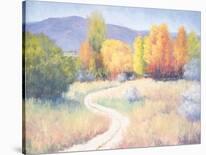 Bright Winter Day-Bunny Oliver-Stretched Canvas