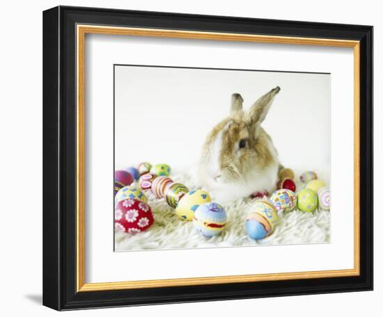 Bunny Rabbit Sitting Among Easter Eggs-null-Framed Photographic Print