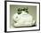 Bunny-Shaped Mold, Ceramic-null-Framed Giclee Print