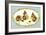 Bunny Tales-Peggy Harris-Framed Giclee Print