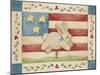 Bunny with Flag Background-Debbie McMaster-Mounted Giclee Print