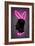 Bunny-Octavian Mielu-Framed Art Print