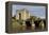 Bunratty Castle, County Clare, Munster, Republic of Ireland, Europe-Richard Cummins-Framed Premier Image Canvas