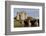 Bunratty Castle, County Clare, Munster, Republic of Ireland, Europe-Richard Cummins-Framed Photographic Print