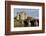 Bunratty Castle, County Clare, Munster, Republic of Ireland, Europe-Richard Cummins-Framed Photographic Print