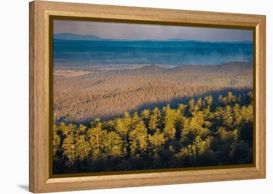 Bunya Mountains National Park, Queensland, Australia-Mark A Johnson-Framed Premier Image Canvas