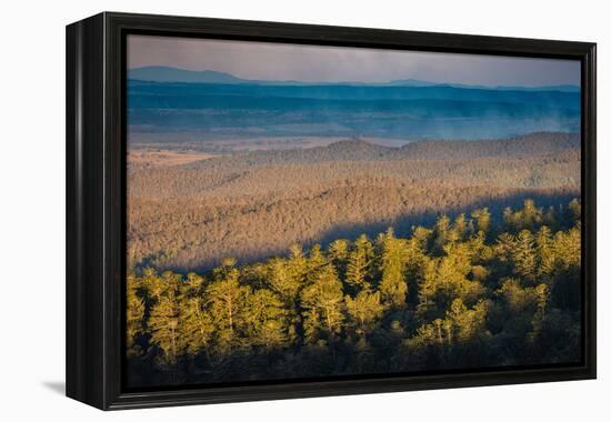 Bunya Mountains National Park, Queensland, Australia-Mark A Johnson-Framed Premier Image Canvas