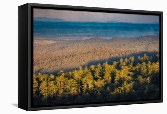 Bunya Mountains National Park, Queensland, Australia-Mark A Johnson-Framed Premier Image Canvas