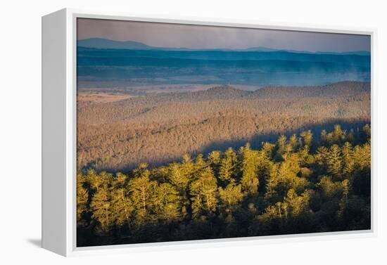 Bunya Mountains National Park, Queensland, Australia-Mark A Johnson-Framed Premier Image Canvas