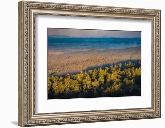 Bunya Mountains National Park, Queensland, Australia-Mark A Johnson-Framed Photographic Print