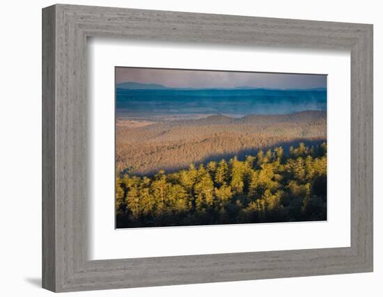 Bunya Mountains National Park, Queensland, Australia-Mark A Johnson-Framed Photographic Print