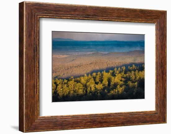 Bunya Mountains National Park, Queensland, Australia-Mark A Johnson-Framed Photographic Print