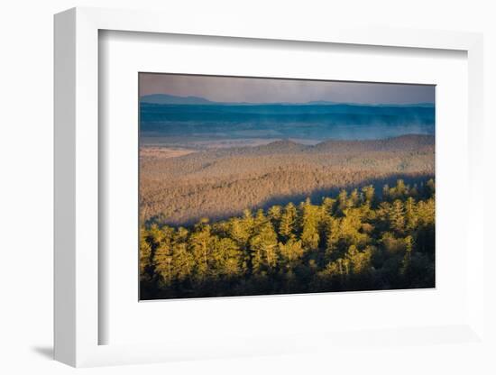 Bunya Mountains National Park, Queensland, Australia-Mark A Johnson-Framed Photographic Print