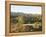 Bunyeroo Valley, Flinders Range, South Australia, Australia-Neale Clarke-Framed Premier Image Canvas