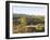 Bunyeroo Valley, Flinders Range, South Australia, Australia-Neale Clarke-Framed Photographic Print