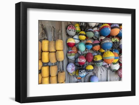 Buoys in Key West, Florida, USA-Chuck Haney-Framed Photographic Print