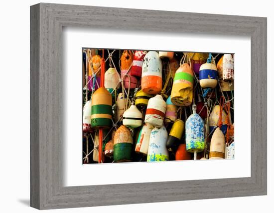 Buoys on a Wall at Apalachicola, Florida, USA-Joanne Wells-Framed Photographic Print