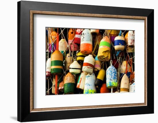 Buoys on a Wall at Apalachicola, Florida, USA-Joanne Wells-Framed Photographic Print